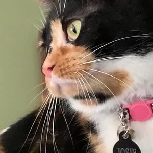 Meet your Posher, Marie